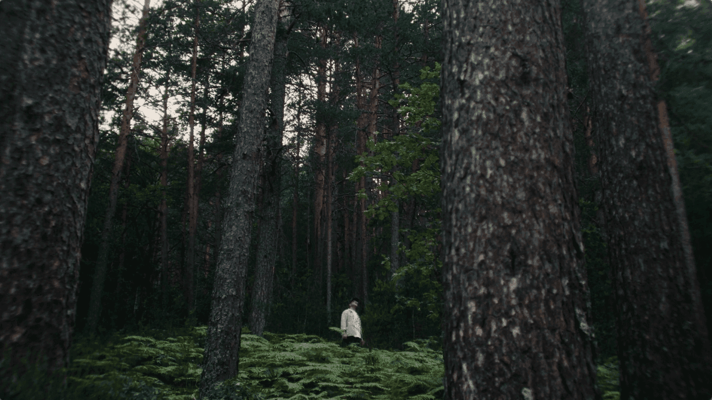 imagen de portada de Hyundai - ioniq 6